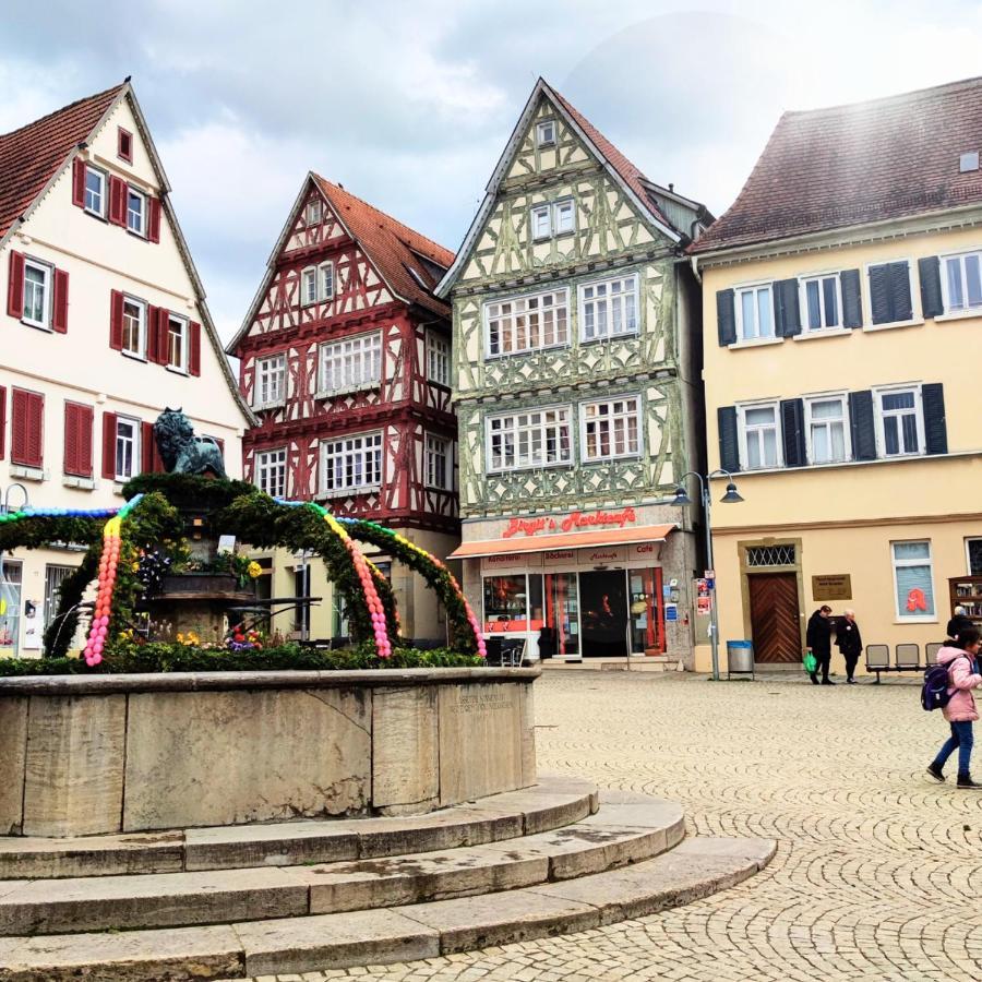 Im Herzen Der Altstadt Vaihingen an der Enz Luaran gambar